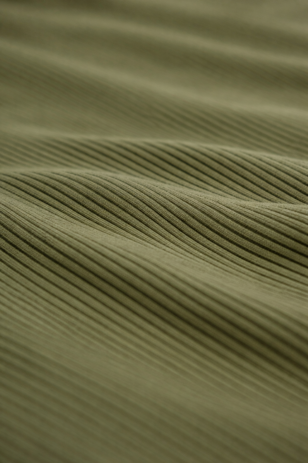 Olive Green Ribbed Cotton T-Shirt for Women | Slim Fit Everyday Essential